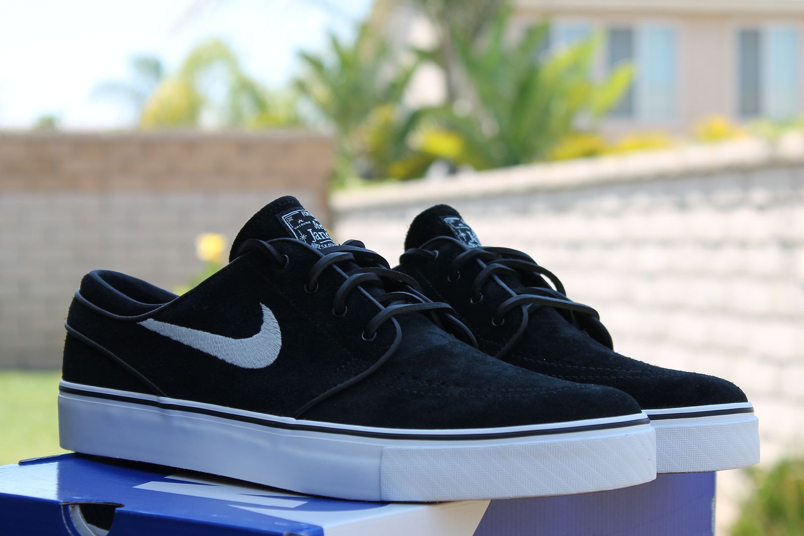 janoski 10.5