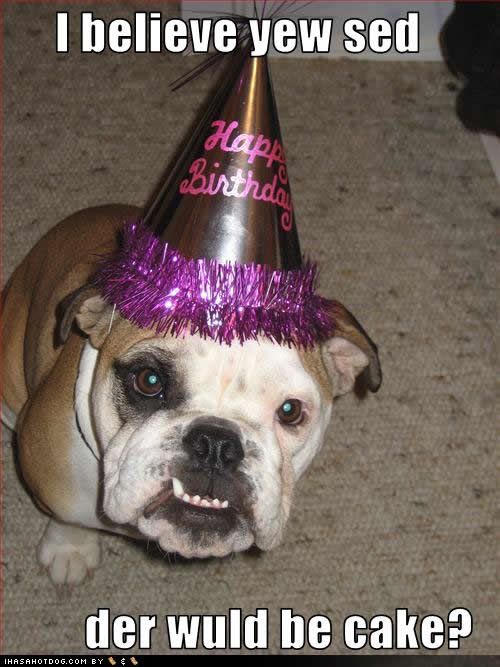 [Image: funny-dog-pictures-be-cake.jpg]