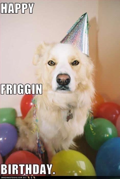 [Image: funny-dog-pictures-friggin-birthday.jpg]