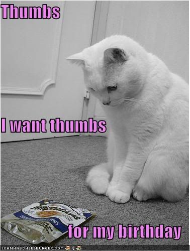 [Image: funny-pictures-cat-wants-thumbs-for.jpg]