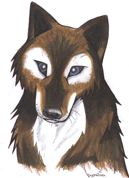 Brown_Wolf_by_amelia_.png brown wolf image by Windfire0395