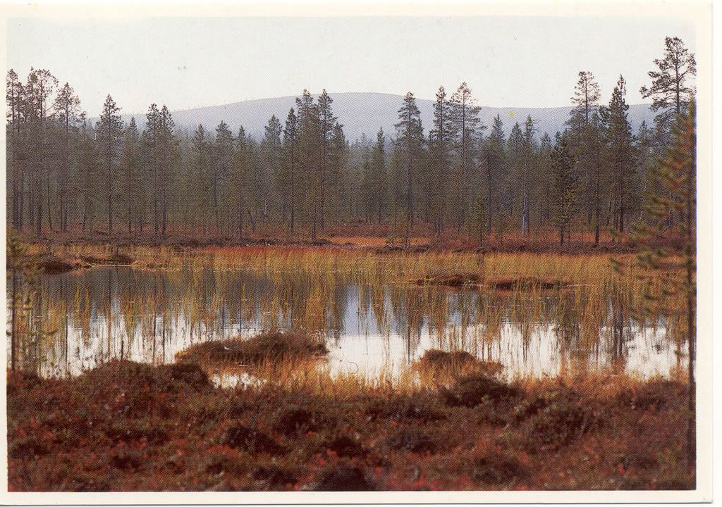 Lapland Pictures, Images and Photos