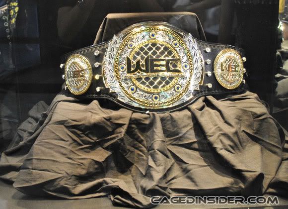 Wec Belt