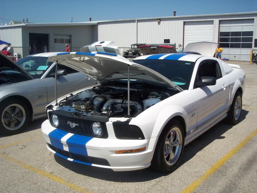MustangShow046.jpg