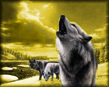 The Wolf of Festering Light Pictures, Images and Photos