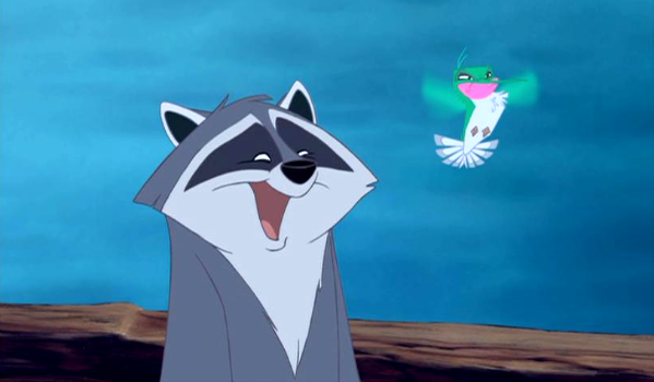 Meeko+raccoon
