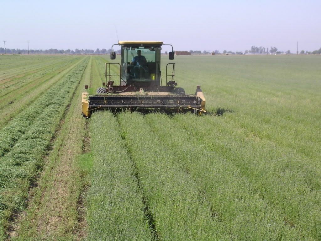 Hay Swather Pictures, Images and Photos