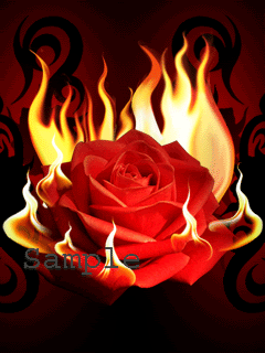 Burning Rose Sample