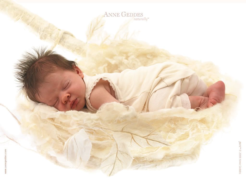 anne geddes baby Pictures, Images and Photos