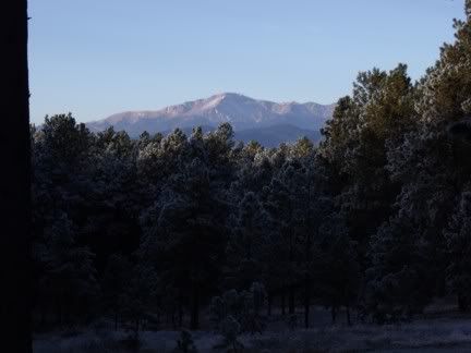 View from patio