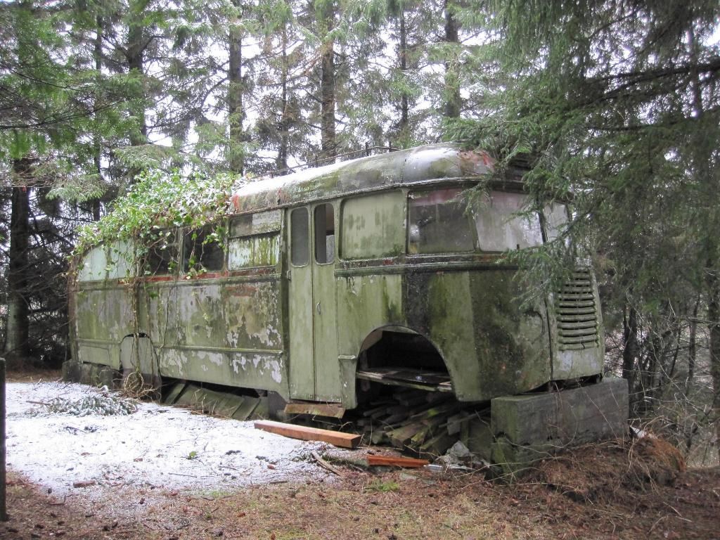 gamle_hoiebussen2.jpg