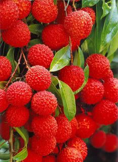 Red,Red
Lychee