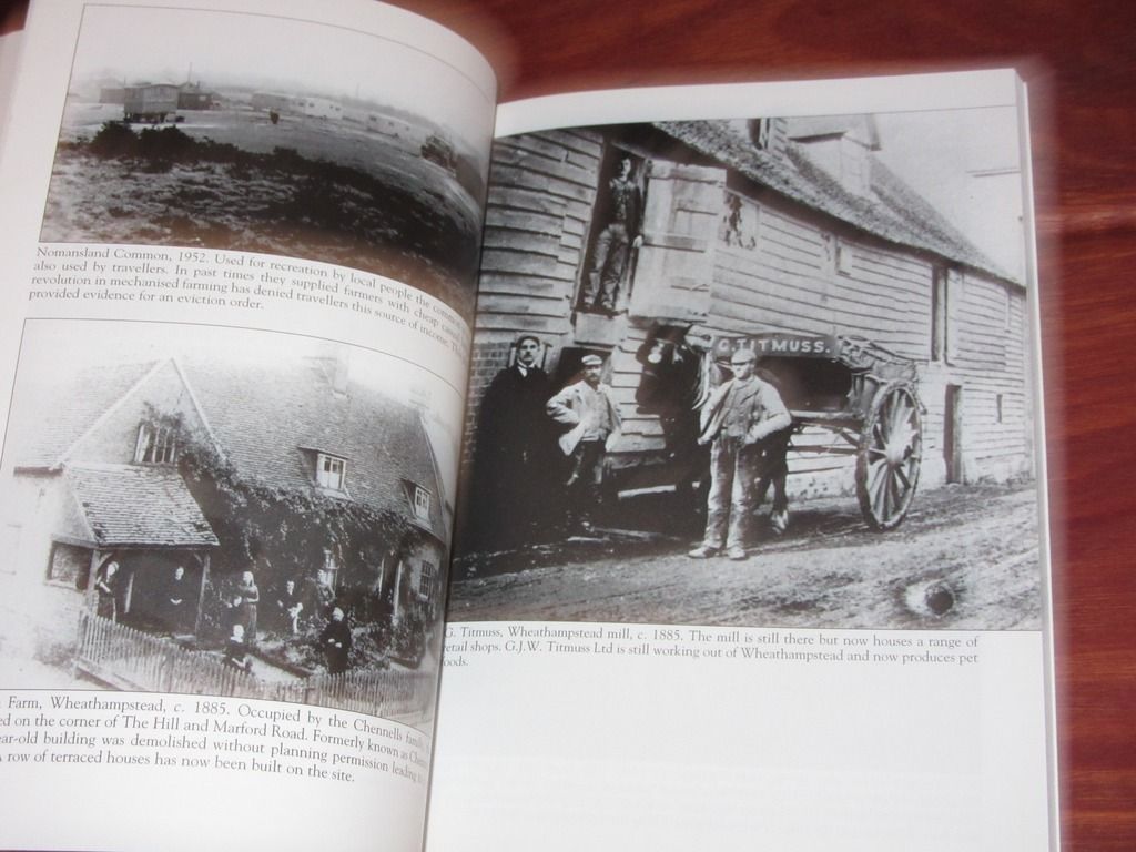  photo IMG_5240_zpslksaycvi.jpg