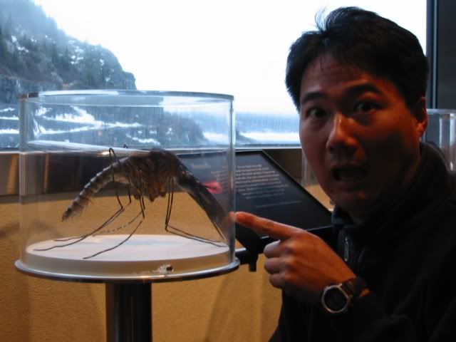 the-biggest-and-largest-things-in-the-whole-world-strange-isn-t-it