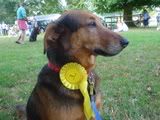 prizedog2.jpg