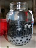 sloe_gin_152x203.jpg