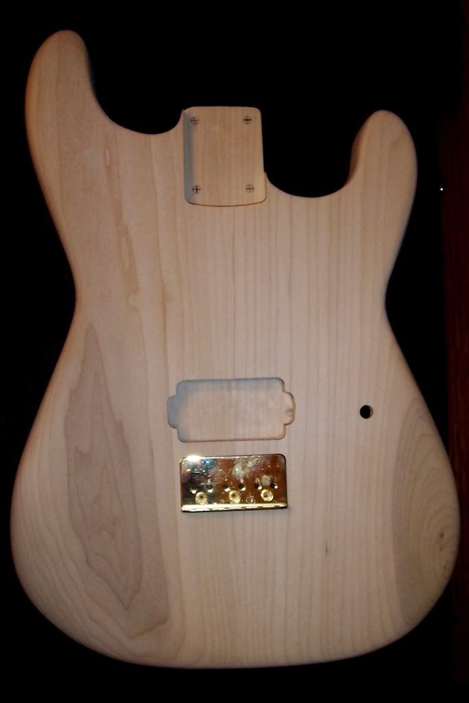 Hardtail Strat Body