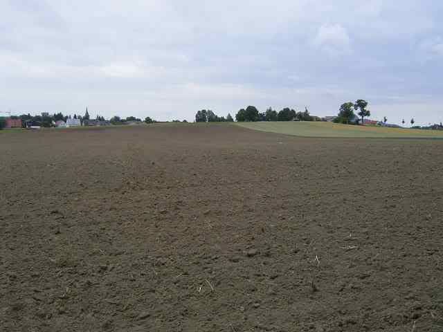 17Jul11Field.jpg