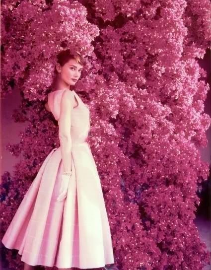 Audrey_Hepburn-13.jpg image by Lorri_08