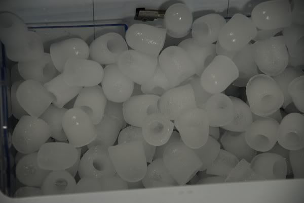 DSC_1253.jpg