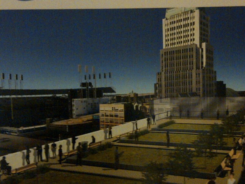 Countyadmn-greenroof1-1.jpg