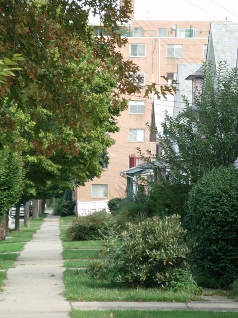 kens-hood013s.jpg