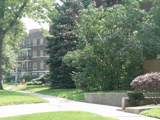 kens-hood018s.jpg