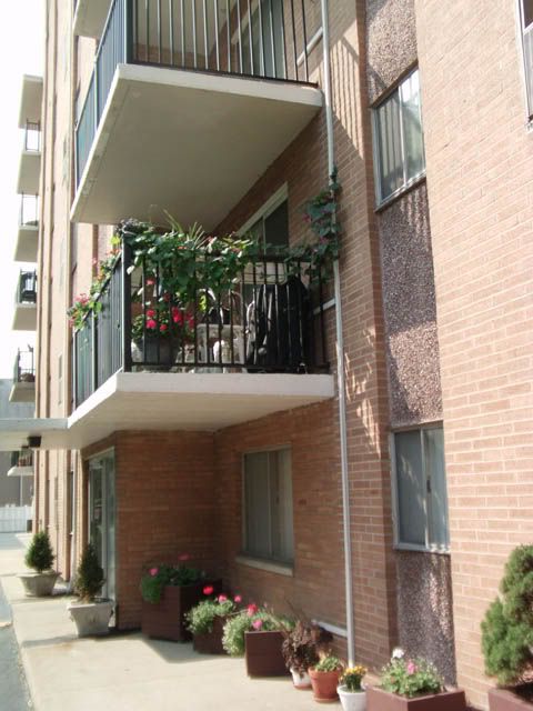kens-hood025s.jpg
