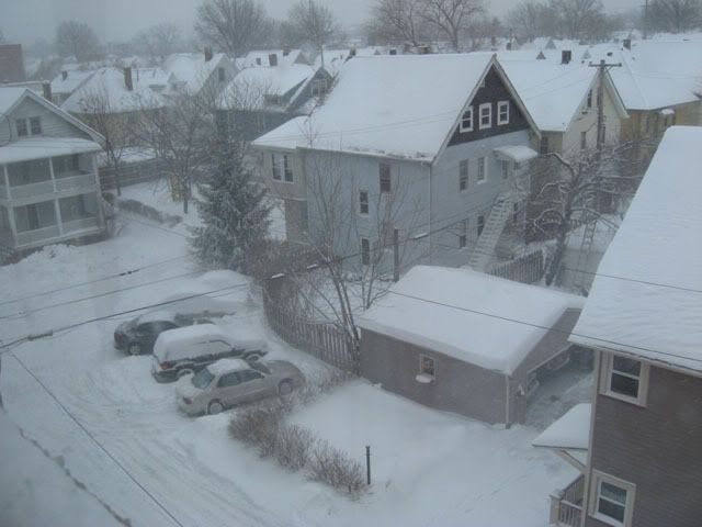 012809Snowstorm1.jpg