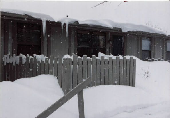 Bereasnowstorm96.jpg