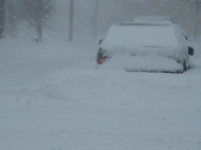 Blizzard11s.jpg