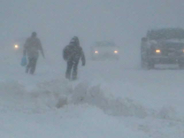 Blizzard12s.jpg