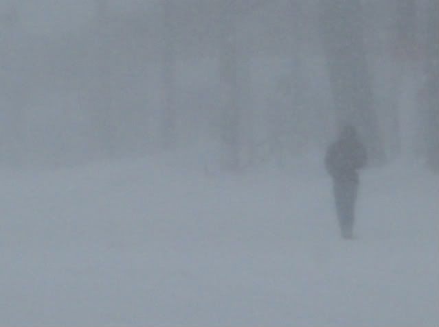 Blizzard18s.jpg