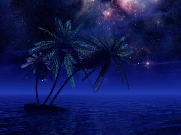 5Bwallcoo_com5D_Tropical_Night_Expe.jpg 