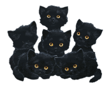 katten-zwart-knipperend.gif