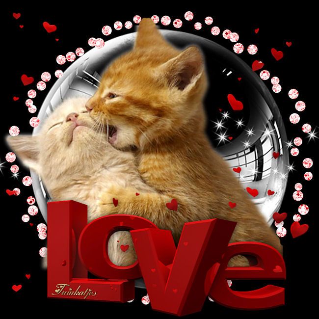 liefde is spreuken. spreuken, citaten, liefde,