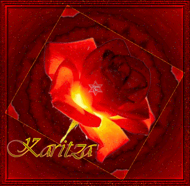 308kznl.gif picture by KARITZA_2007