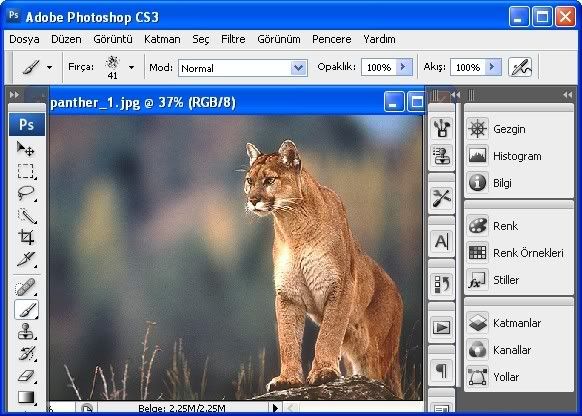 adobe photoshop cs3 lite version free download