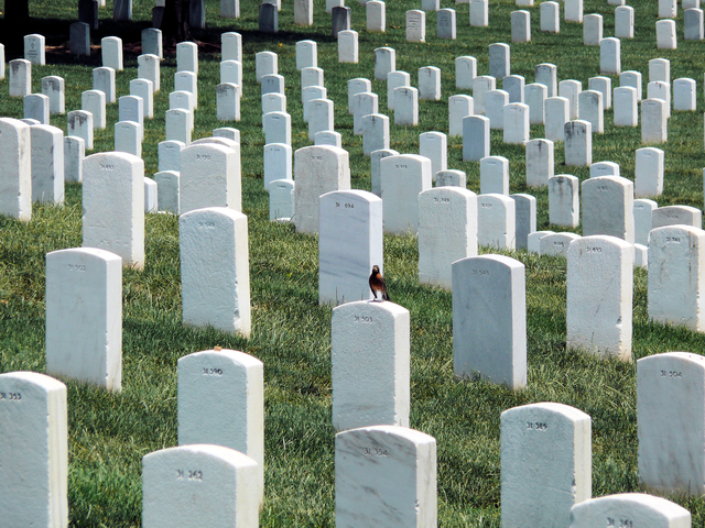 Arlington National Cemetery is