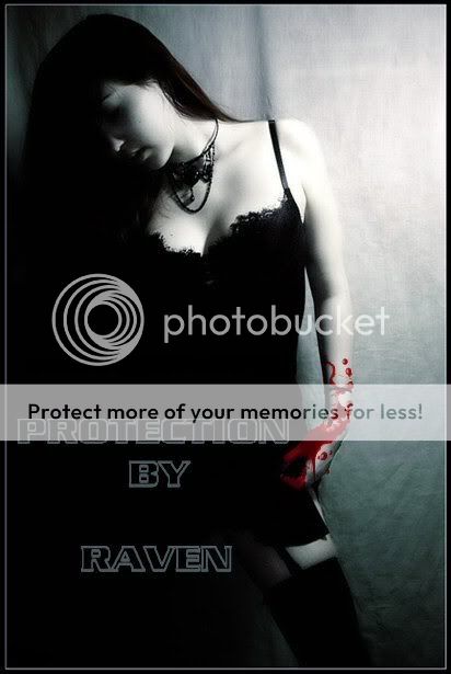 Raven pro