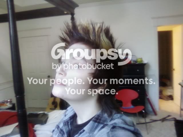 User Image