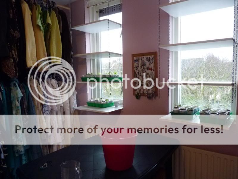 P1020625.jpg?t=1301212128