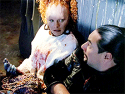 photo funny.gif