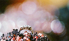 photo what.gif