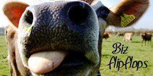 photo animal1.jpg