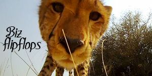 photo animal3.jpg