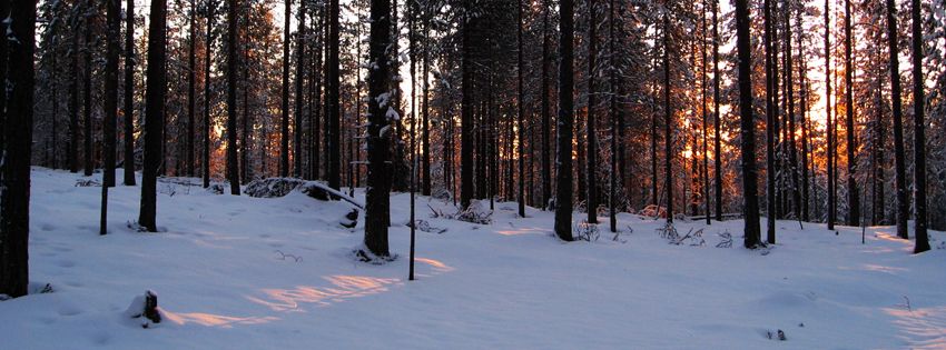 photo snowyheader.jpg