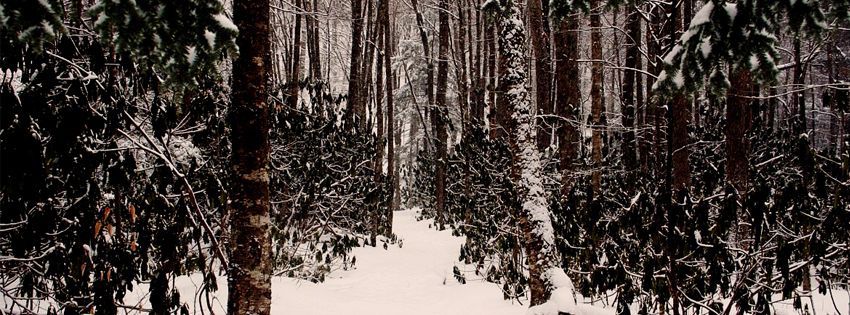 photo snowyheader2.jpg