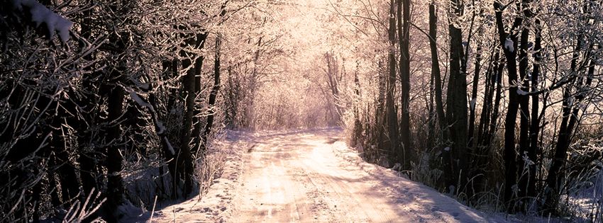 photo snowyheader3.jpg