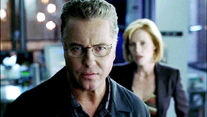workaholic photo workaholic.gif